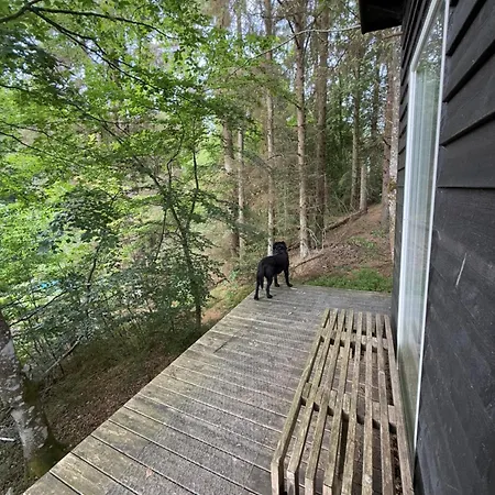 Idylisk Primitiv Midt I Skoven Luksusowy namiot