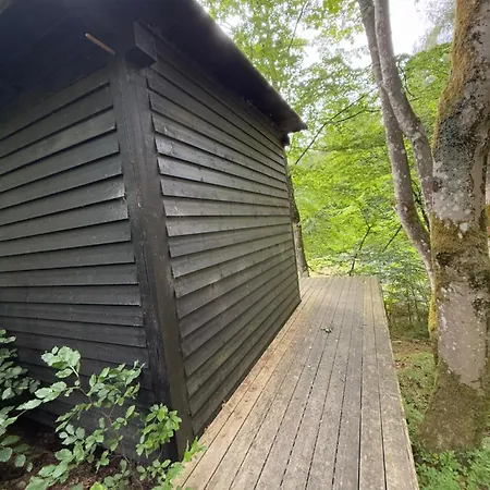 Idylisk Primitiv Midt I Skoven * Them