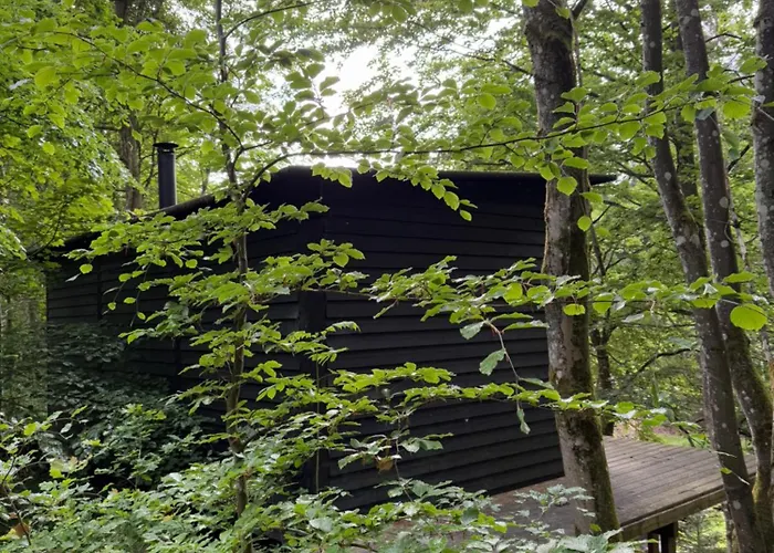 Luxe tent Idylisk Primitiv Midt I Skoven *