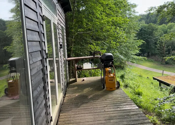 Idylisk Primitiv Midt I Skoven